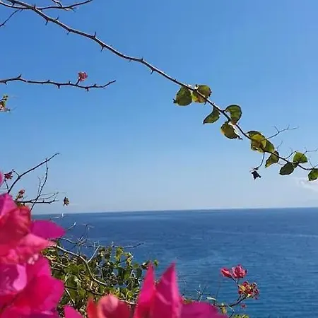 Apartment Nomad's Nook - Mediterranean Boho Escape *