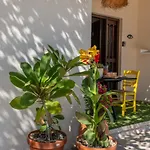 Apartamento Nomad's Nook - Mediterranean Boho Escape *