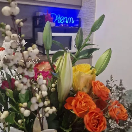 公寓 Nomad's Nook - Mediterranean Boho Escape