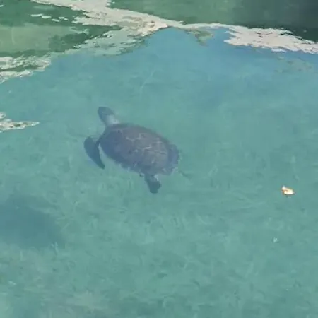 Nomad's Nook - Mediterranean Boho Escape Polis