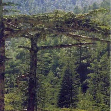 Nomad's Nook - Mediterranean Boho Escape