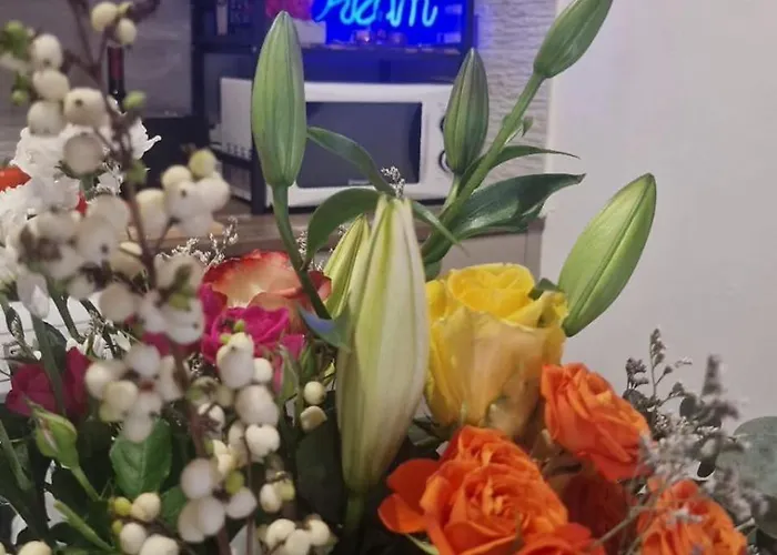 アパート Nomad's Nook - Mediterranean Boho Escape