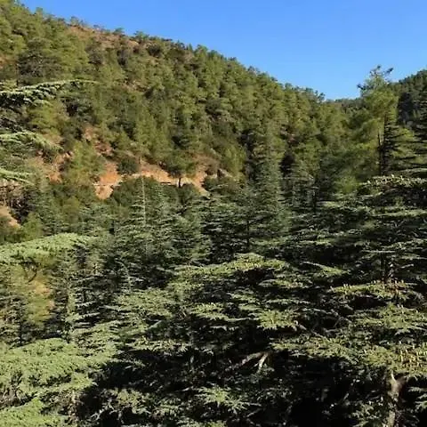 Nomad's Nook - Mediterranean Boho Escape アパート *