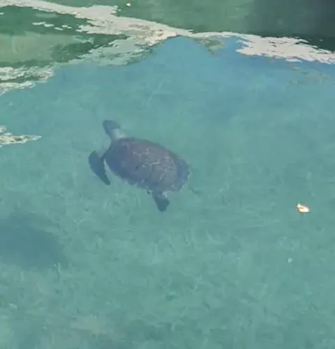 Nomad's Nook - Mediterranean Boho Escape Polis